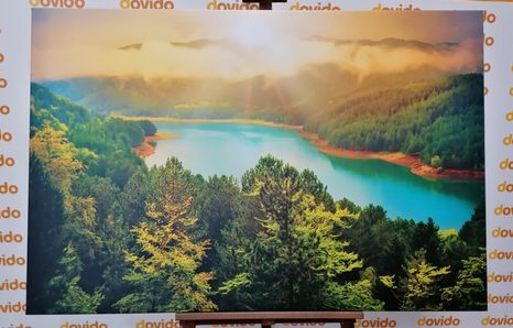 КАРТИНА НА ПЛАТНО – РЕКА В ЗЕЛЕНА ГОРА - КАРТИНИ НА ПРИРОДАТА И ПЕЙЗАЖИ - КАРТИНИ