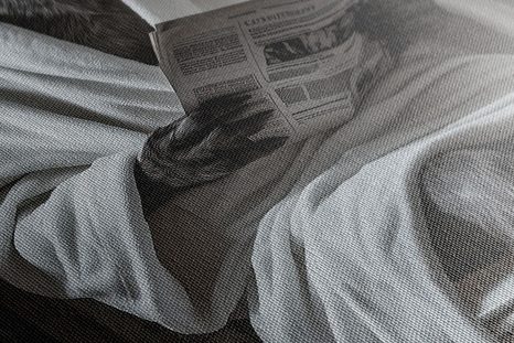 QUADRO SU TELA – LUPO CON GIORNALE IN BAGNO - QUADRI DI LUPI - STAMPE E QUADRI