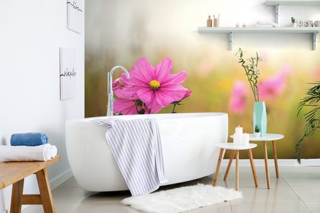 FOTOTAPETA ROZKVETLÝ RŮŽOVÝ KVĚT - TAPETY KVĚTINY - TAPETY