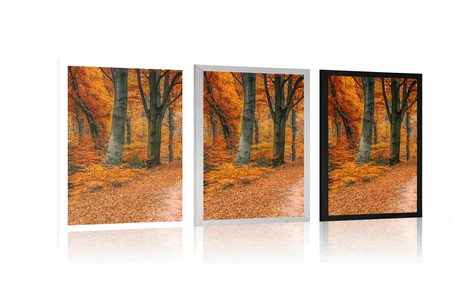 PLAKÁT LES V PODZIMNÍM OBDOBÍ - PŘÍRODA - PLAKÁTY