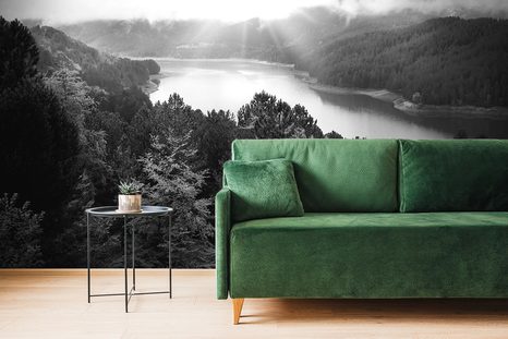 SAMOLEPÍCÍ FOTOTAPETA ŘEKA UPROSTŘED LESA V ČERNOBÍLÉM PROVEDENÍ - SAMOLEPÍCÍ TAPETY - TAPETY