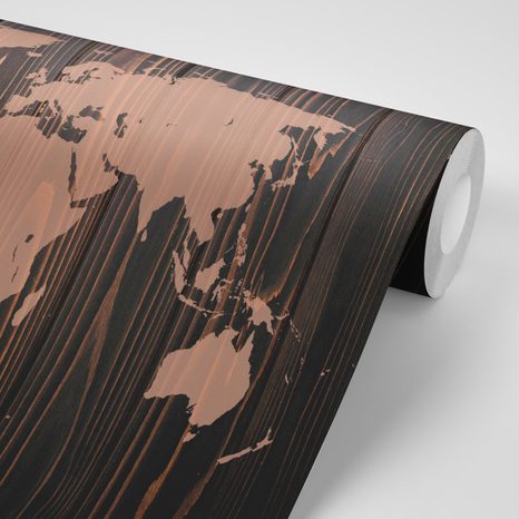 TAPETA MAPA S KOMPASEM NA DŘEVĚ - TAPETY MAPY - TAPETY