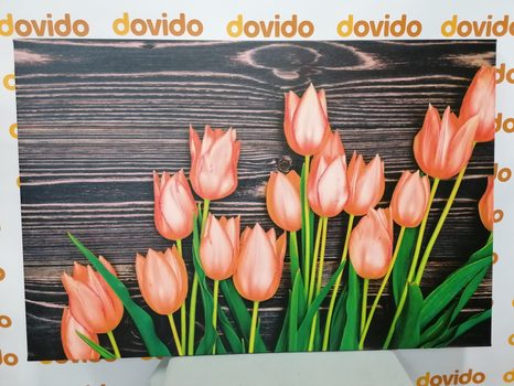 KÉP ELBŰVÖLŐ NARANCSSÁRGA TULIPÁNOK FÁBÓL KÉSZÜLT HÁTTÉREN - KÉPEK - 🔥 TELJES KIÁRUSÍTÁS