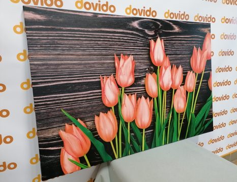 KÉP ELBŰVÖLŐ NARANCSSÁRGA TULIPÁNOK FÁBÓL KÉSZÜLT HÁTTÉREN - KÉPEK - 🔥 TELJES KIÁRUSÍTÁS