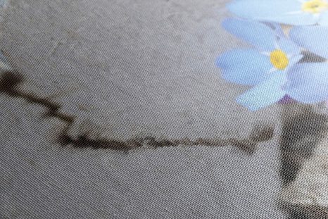 STAMPA SU TELA – CUORICINO SUL LEGNO ANTICO - QUADRI DI NATURE MORTE - STAMPE E QUADRI