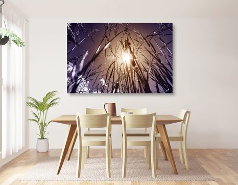CANVAS PRINT FIELD GRASS - PICTURES OF NATURE AND LANDSCAPE - PICTURES