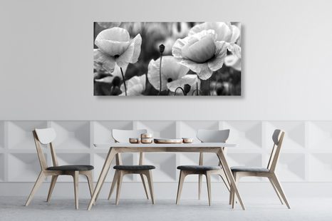 OBRAZ KRÁSNÉ POLE VLČÍCH MÁKŮ V ČERNOBÍLÉM PROVEDENÍ - ČERNOBÍLÉ OBRAZY - OBRAZY