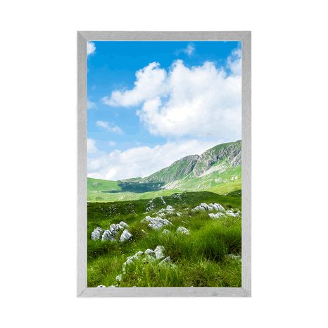 POSTER – VALLE IN MONTENEGRO - NATURA - POSTER