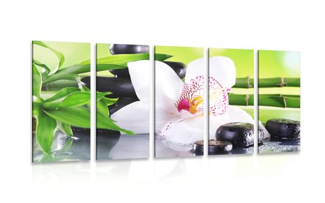 5-TEILIGES WANDBILD JAPANISCHE ORCHIDEE - BILDER MIT FENG SHUI-MOTIVEN - BILDER