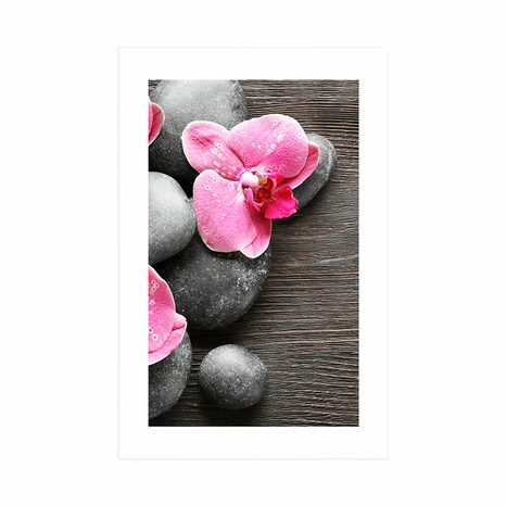 POSTER – COMPOSIZIONE ELEGANTE CON FIORI DI ORCHIDEA - FENG SHUI - POSTER
