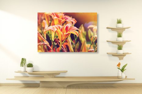 OBRAZ KRÁSNÉ KVETOUCÍ KVĚTINY V ZAHRADĚ - OBRAZY KVĚTŮ - OBRAZY