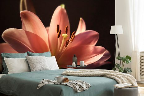 SAMOLEPÍCÍ FOTOTAPETA LILIE NA ČERNÉM POZADÍ - SAMOLEPÍCÍ TAPETY - TAPETY