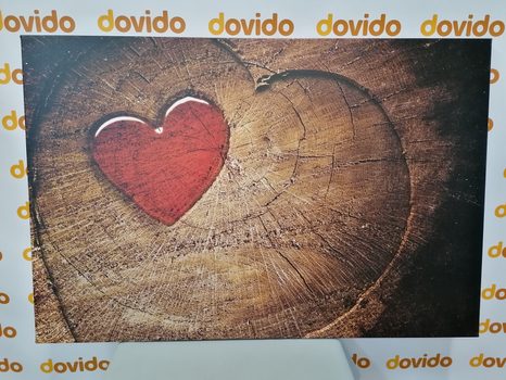 CANVAS PRINT HEART ON A STUMP - PICTURES OF NATURE AND LANDSCAPE - PICTURES