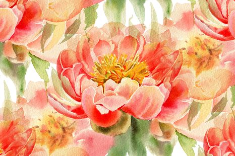 SELBSTKLEBENDE TAPETE ROTE PFINGSTROSEN - SELBSTKLEBENDE TAPETEN - TAPETEN