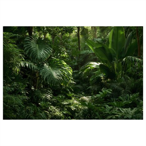 TABLEAU SUR TOILE – JUNGLE TROPICALE VERDOYANTE - TABLEAUX ARBRES ET FEUILLES - TABLEAUX