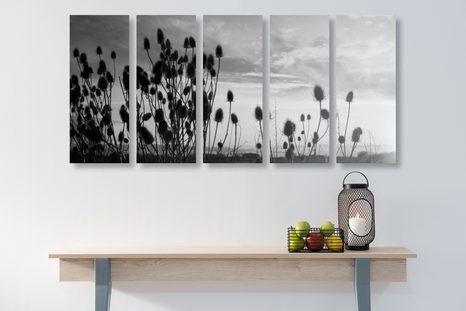 5-RÉSZES KÉP FŰ SZÁLLAK FEKETE FEHÉRBEN - FEKETE-FEHÉR KÉPEK - KÉPEK