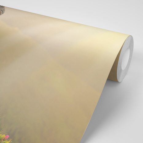 TAPETA SOCHA BUDHY V MEDITUJÍCÍ POLOZE - TAPETY FENG SHUI - TAPETY