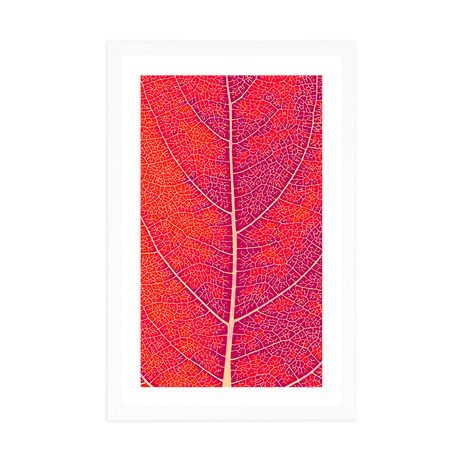 POSTER MIT PASSEPARTOUT BLATTSTRUKTUR - MOTIVE AUS UNSERER WERKSTATT - POSTER