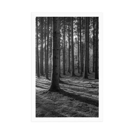 PLAKAT JUTRO U ŠUMI U CRNO-BIJELOM DIZAJNU - CRNO-BIJELE - PLAKATI