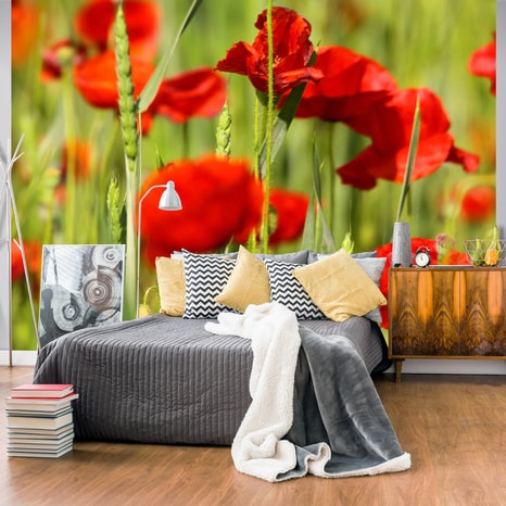 FOTOTAPETA - CEREAL FIELD WITH POPPIES