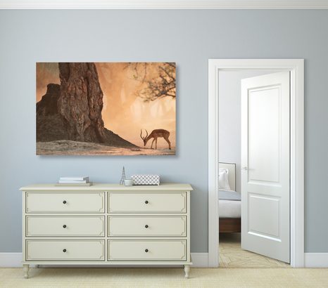 OBRAZ AFRICKÁ ANTILOPA - OBRAZY ZVIERAT - OBRAZY