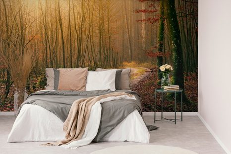 FOTOTAPETA STEZA V GOZD - TAPETE NARAVA - TAPETE