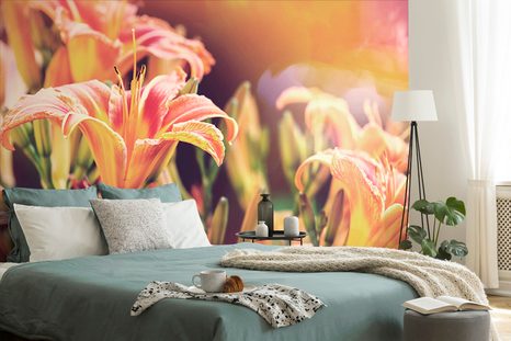 CARTA DA PARATI – FIORI IN GIARDINO - CARTA DA PARATI CON FIORI - CARTA DA PARATI