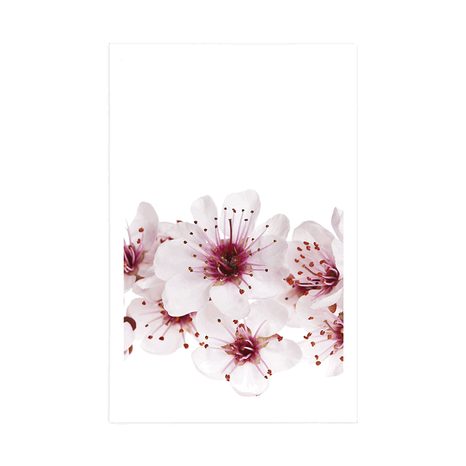 POSZTER CSERESZNYE VIRÁG - VIRÁGMINTÁS - POSZTEREK