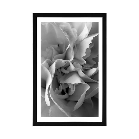 PLAKAT S PASPARTUOM LATICE KARANFILA U CRNO-BIJELOM DIZAJNU - CRNO-BIJELE - PLAKATI