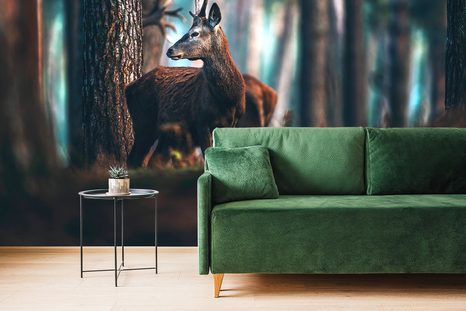 FOTOTAPETE HIRSCH IM KIEFERWALD - TAPETEN MIT TIERMOTIVEN - TAPETEN