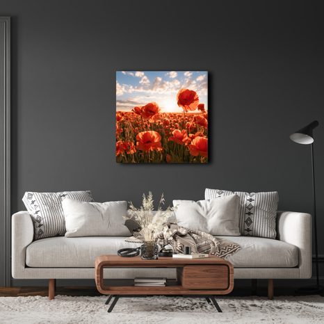 CANVASTAVLA BLOMMANDE VALLMOFÄLT - TAVLOR MED FÄLT OCH ÄNGAR - TAVLOR