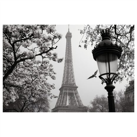 OBRAZ PAŘÍŽ V ZIMNÍM OPARU - OBRAZY PAŘÍŽ - OBRAZY