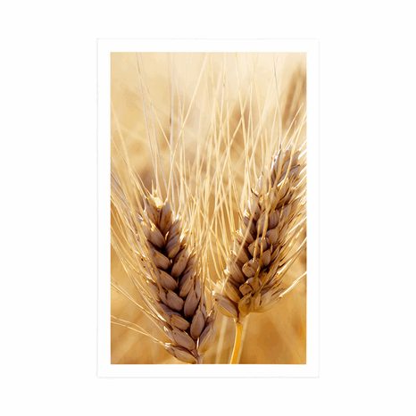 POSTER WHEAT FIELD - NATURE - POSTERS