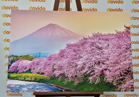 OBRAZ JAPONSKA SOPKA FUJI - OBRAZY PŘÍRODY A KRAJINY - OBRAZY