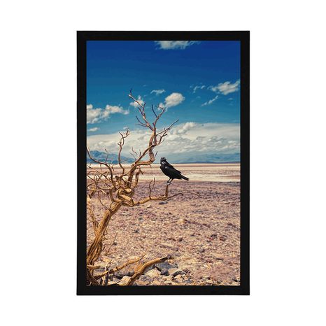 POSTER KRÄHE IN DER LANDSCHAFT DER DÜRRE - NATUR - POSTER