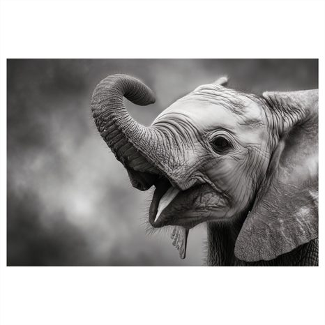 WANDBILD ELEFANTENBABY IN SCHWARZ-WEISS - BILDER VON ELEFANTEN - BILDER