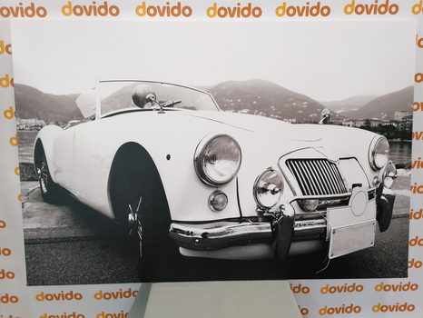 OBRAZ LUXUSNÍ VETERÁN V ČERNOBÍLÉM PROVEDENÍ - ČERNOBÍLÉ OBRAZY - OBRAZY