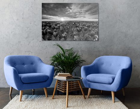 WANDBILD SONNENAUFGANG ÜBER DER WIESE MIT TULPEN IN SCHWARZ-WEISS - SCHWARZ-WEISSE BILDER - BILDER