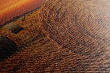 WANDBILD HEUBALLEN - BILDER VON NATUR UND LANDSCHAFT - BILDER