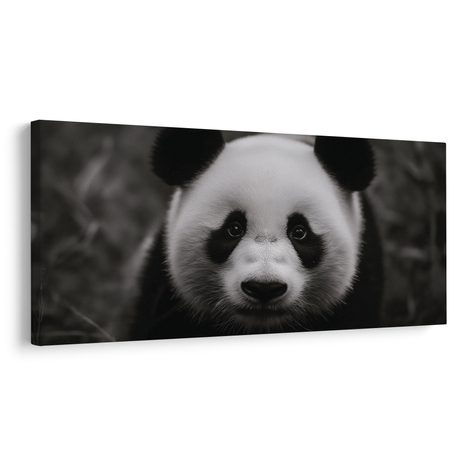 WANDBILD LÄCHELNDER SCHWARZ-WEISSER PANDA - BILDER TIERE - BILDER