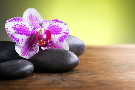 ÖNTAPADÓ FOTÓTAPÉTA ORCHIDEA ÉS FEKETE KÖVEK - ÖNTAPADÓ TAPÉTÁK - TAPÉTÁK