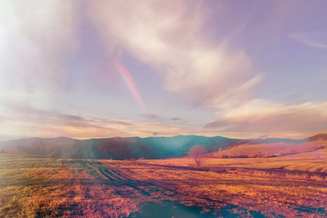 TAPETA POLE V PODZIMNÍ ATMOSFÉŘE - TAPETY POLE A LOUKY - TAPETY