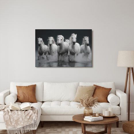 OBRAZ BÍLÍ KONĚ V POHYBU - OBRAZY KONĚ - OBRAZY
