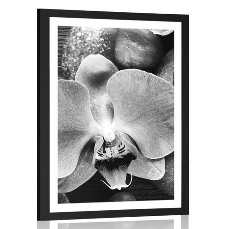 POSTER WITH MOUNT BEAUTIFUL ORCHID AND STONES IN BLACK AND WHITE - BLACK AND WHITE - POSTERS