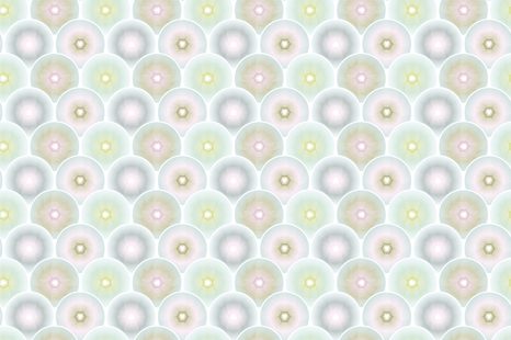 SAMOLEPÍCÍ TAPETA KOUZELNÉ KRUHY - SAMOLEPÍCÍ TAPETY - TAPETY