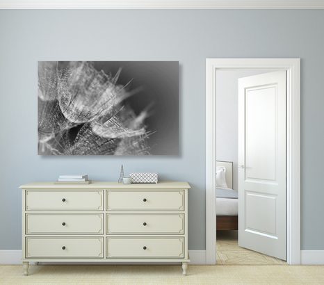 SLIKA ČRNOBELA VELIKA REGRATOVA LUČKA Z OZADJEM - ČRNOBELE SLIKE - SLIKE