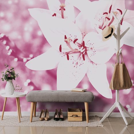 WALL MURAL LILY ON A PINK BACKGROUND - WALLPAPERS FLOWERS - WALLPAPERS