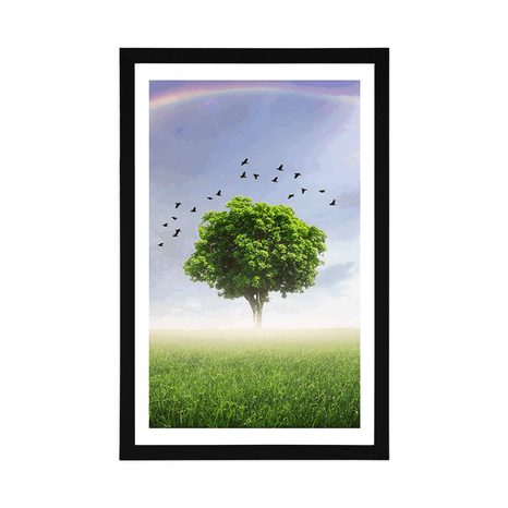 PLAKAT S PASPARTUOM USAMLJENO STABLO NA LIVADI - PRIRODA - PLAKATI