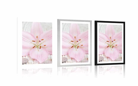 AFFICHE AVEC PASSE-PARTOUT – LYS ROSE ET PIERRES ZEN - FENG SHUI - AFFICHES