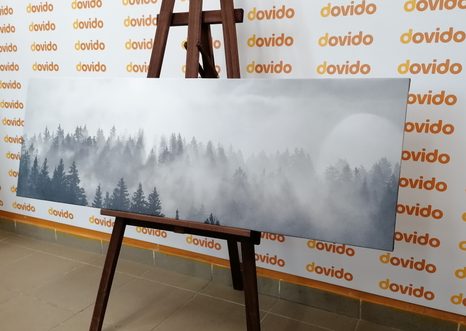 WANDBILD NEBEL ÜBER DEM WALD IN SCHWARZ-WEISS - SCHWARZ-WEISSE BILDER - BILDER